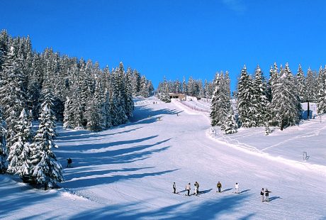 JOSK Folgarida Madonna di Campiglio Val di Sole